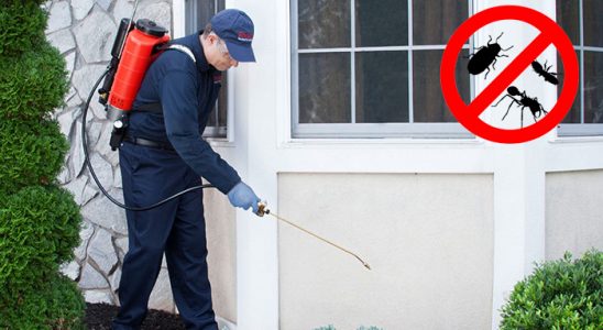 Yıkıkkemer Böcek ve Haşere İlaçlama böcek ilaçlama ve haşere kontrolü — ilaclama-tr.com
